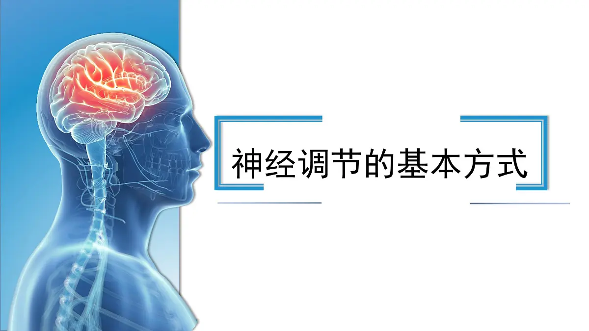 人教版高中生物选修1《2-2 神经调节的基本方式》课件第1页