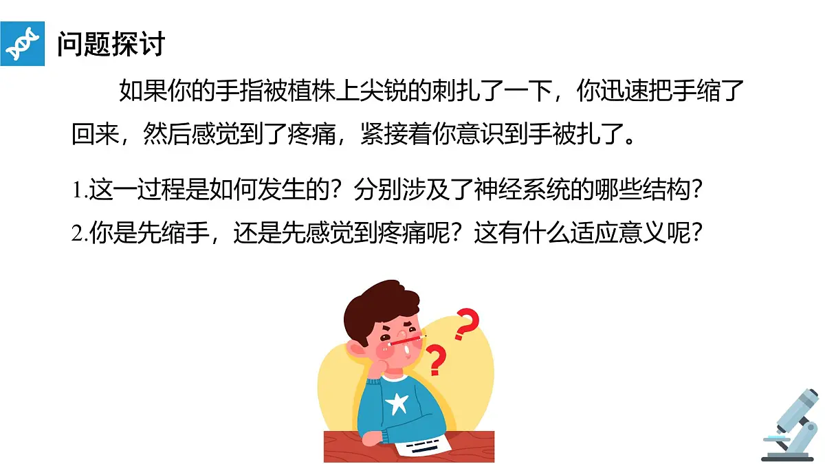 人教版高中生物选修1《2-2 神经调节的基本方式》课件第3页