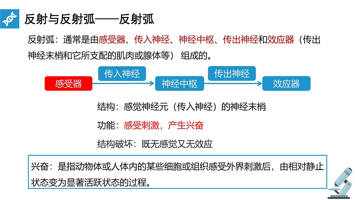 人教版高中生物选修1《2-2 神经调节的基本方式》课件第7页