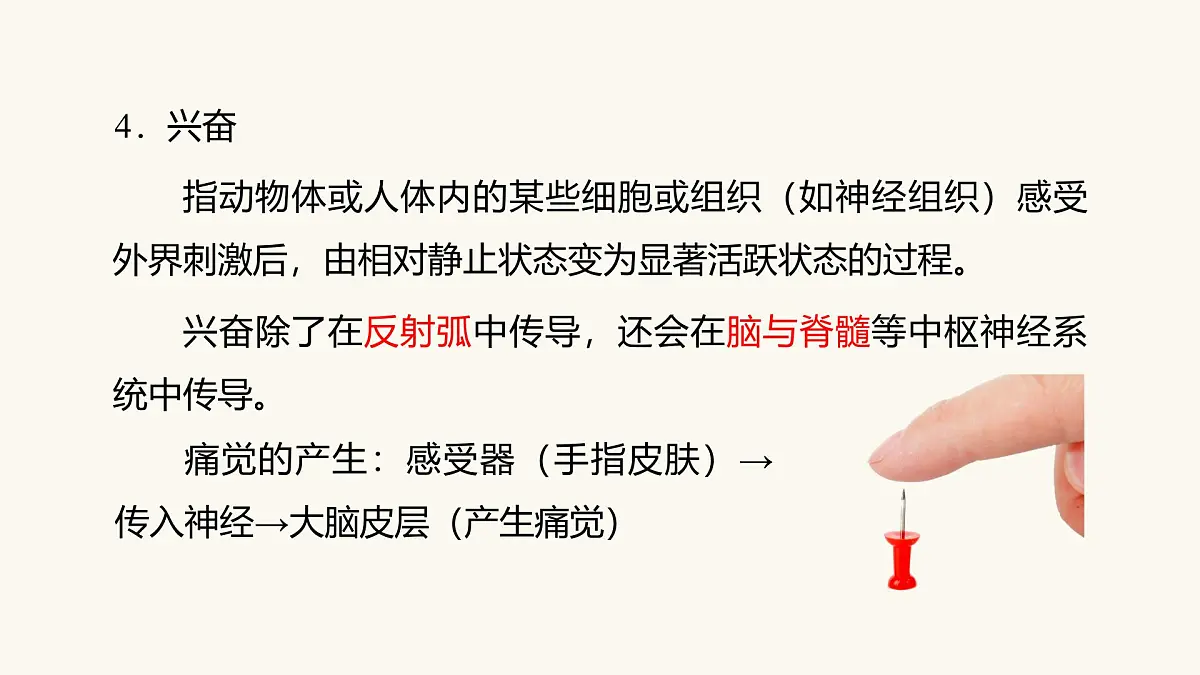 人教版高中生物选修1《2-2 神经调节的基本方式》课件第6页