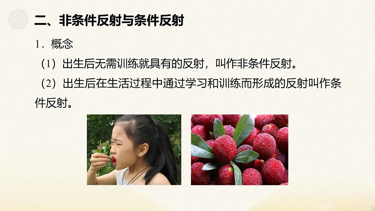 人教版高中生物选修1《2-2 神经调节的基本方式》课件第8页