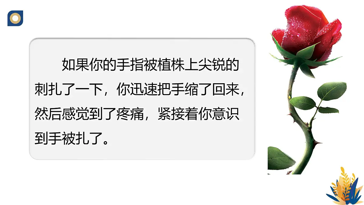 人教版高中生物选修1《2-2 神经调节的基本方式》课件第2页