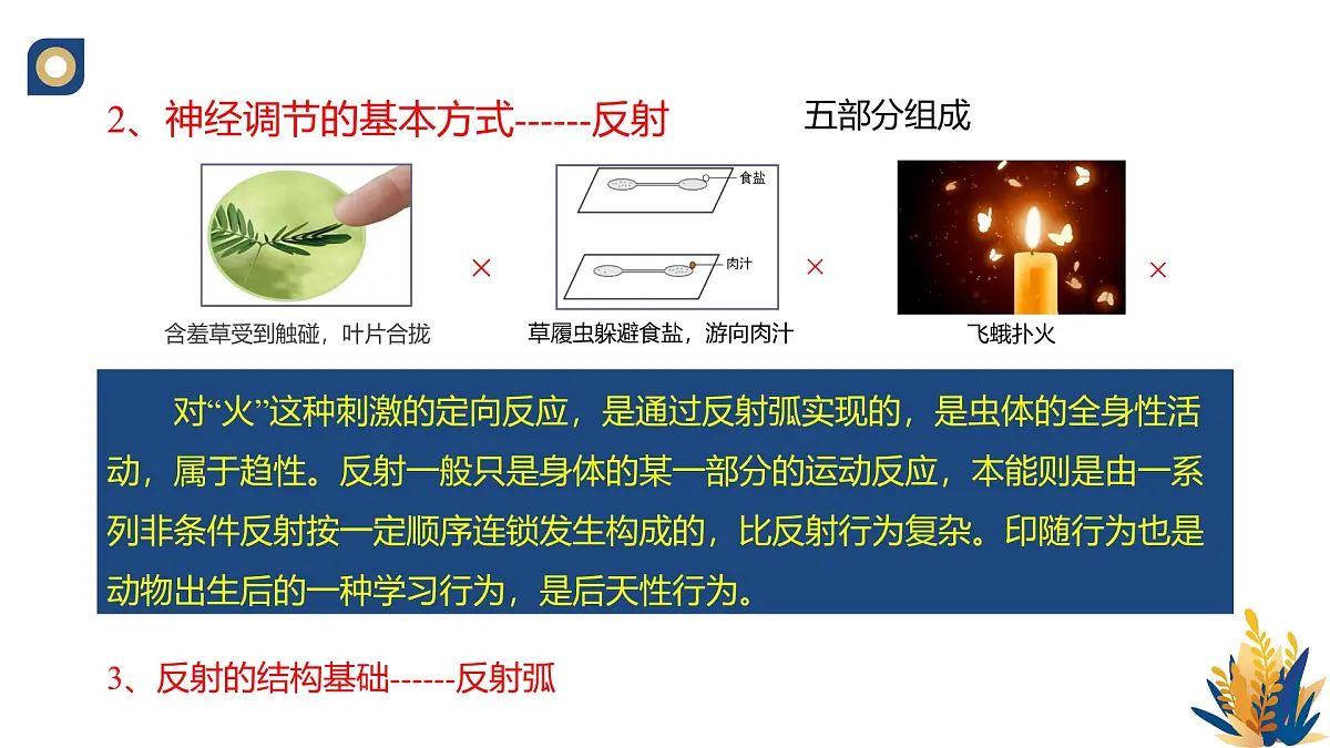 人教版高中生物选修1《2-2 神经调节的基本方式》课件第6页