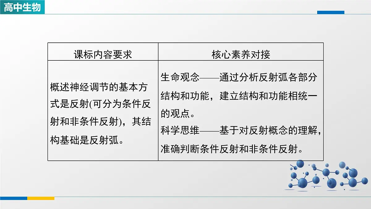 人教版高中生物选修1《2-2神经调节的基本方式》课件第2页