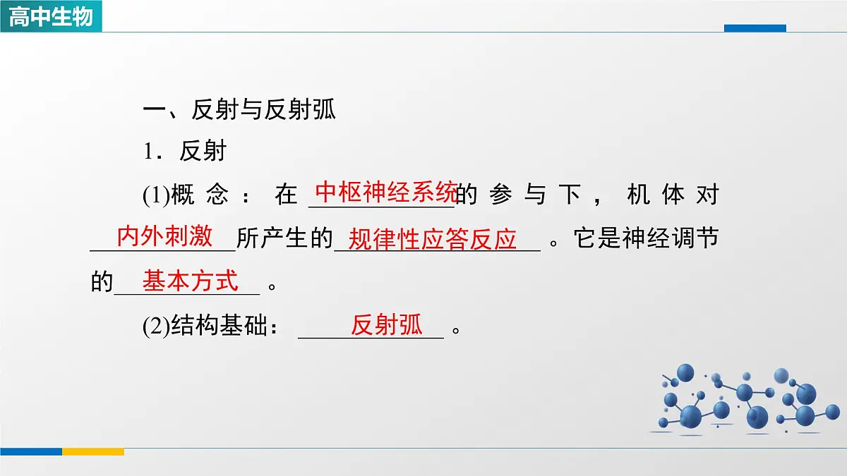 人教版高中生物选修1《2-2神经调节的基本方式》课件第4页