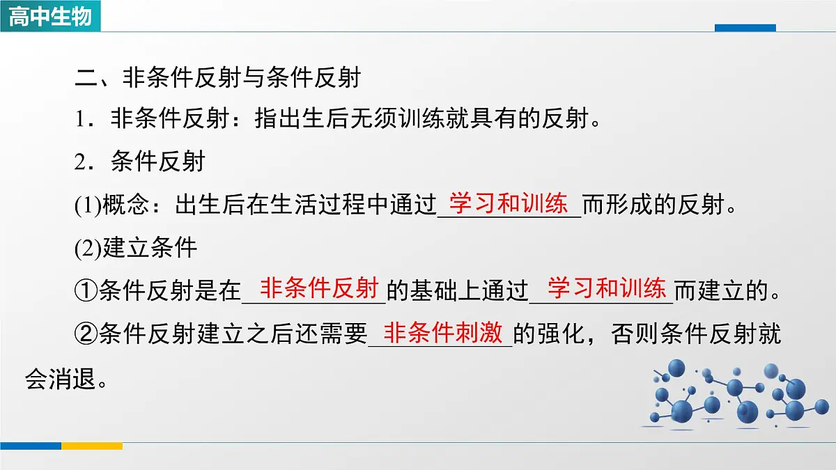 人教版高中生物选修1《2-2神经调节的基本方式》课件第7页
