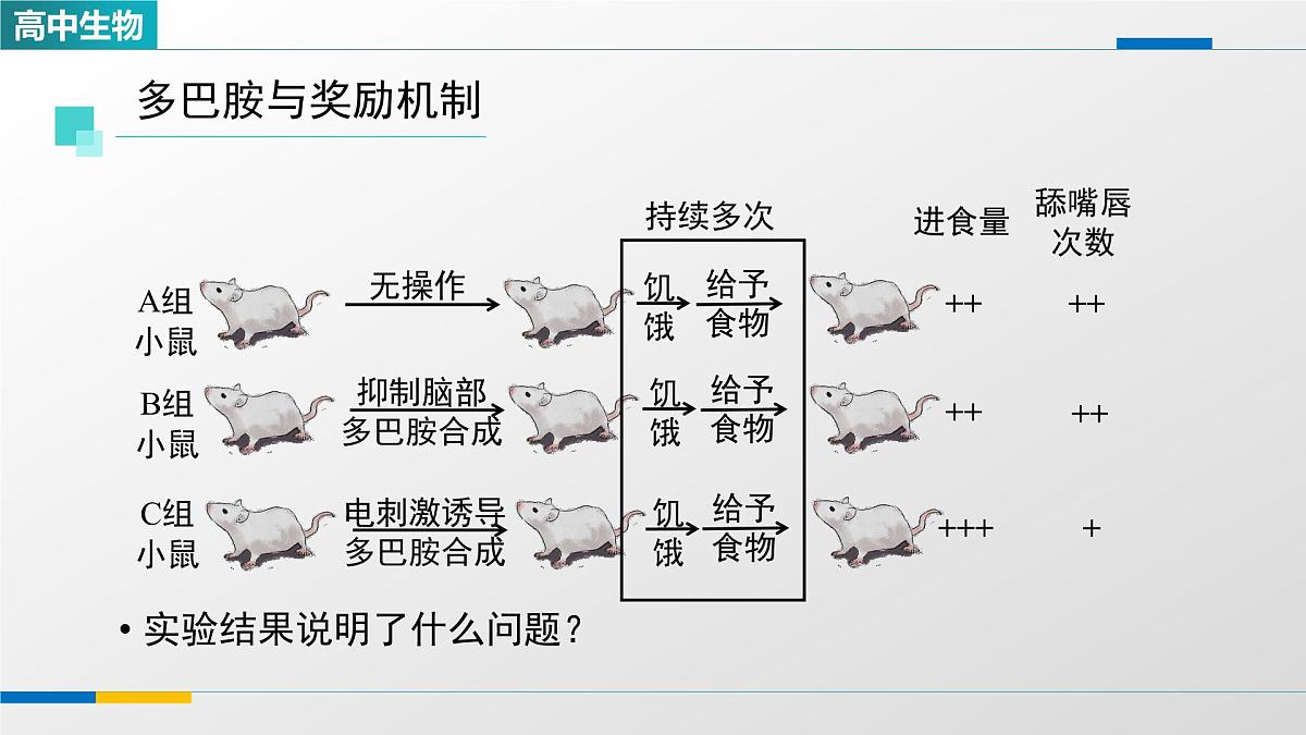 人教版高中生物选修1 2-3《神经冲动的产生和传导(第三课时)》课件第4页