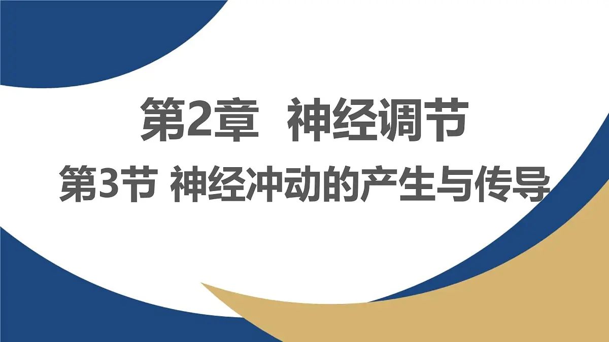 人教版高中生物选修1《2-3 神经冲动的产生与传导》课件第1页