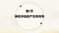 人教版 (2019)选择性必修1神经冲动的产生和传导集体备课ppt课件