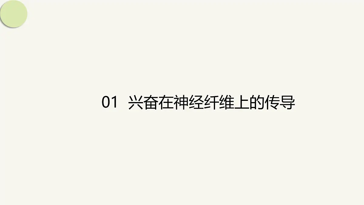 人教版高中生物选修1《2-3 神经冲动的产生和传导》课件第4页