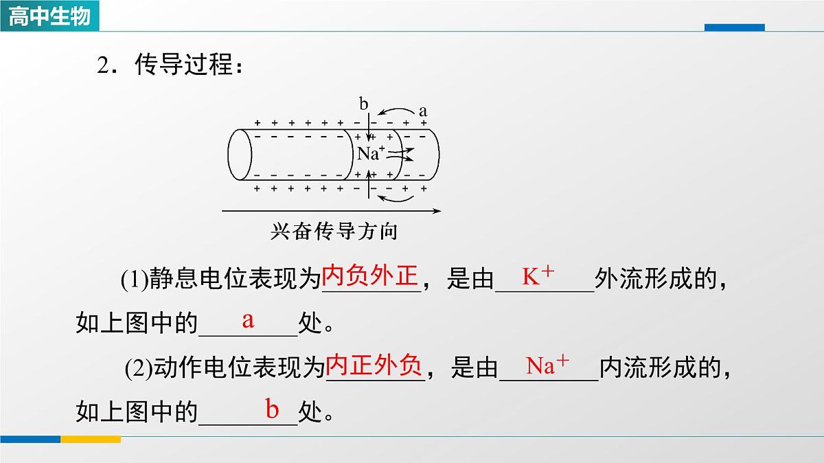 人教版高中生物选修1《2-3神经冲动的产生和传导》教学课件第3页