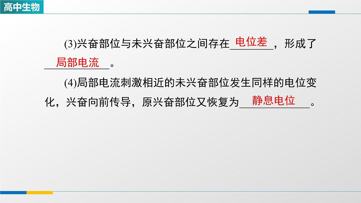 人教版高中生物选修1《2-3神经冲动的产生和传导》教学课件第4页