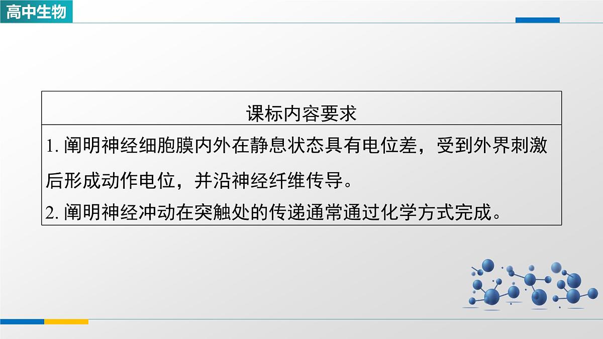 人教版高中生物选修1《2-3神经冲动的产生和传导》课件第2页