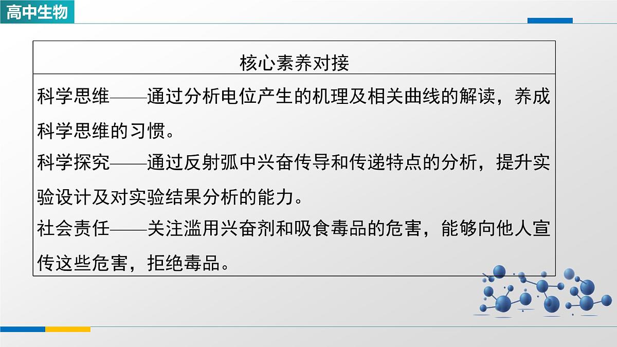 人教版高中生物选修1《2-3神经冲动的产生和传导》课件第3页