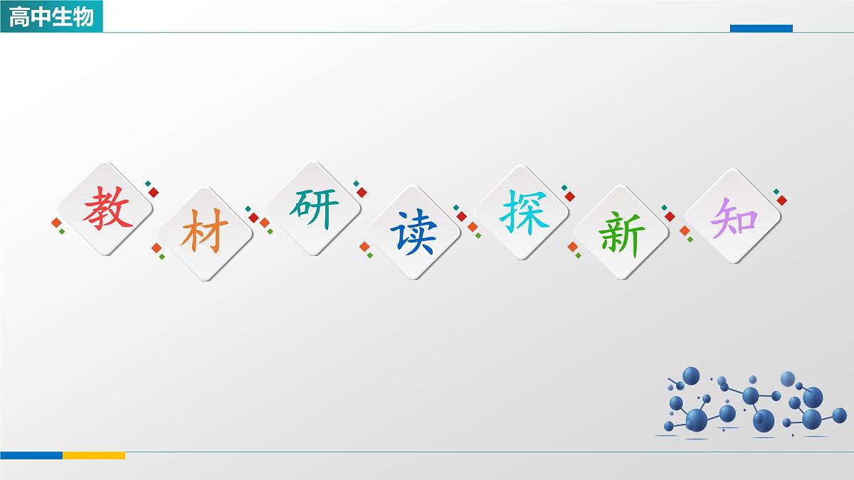 人教版高中生物选修1《2-3神经冲动的产生和传导》课件第4页