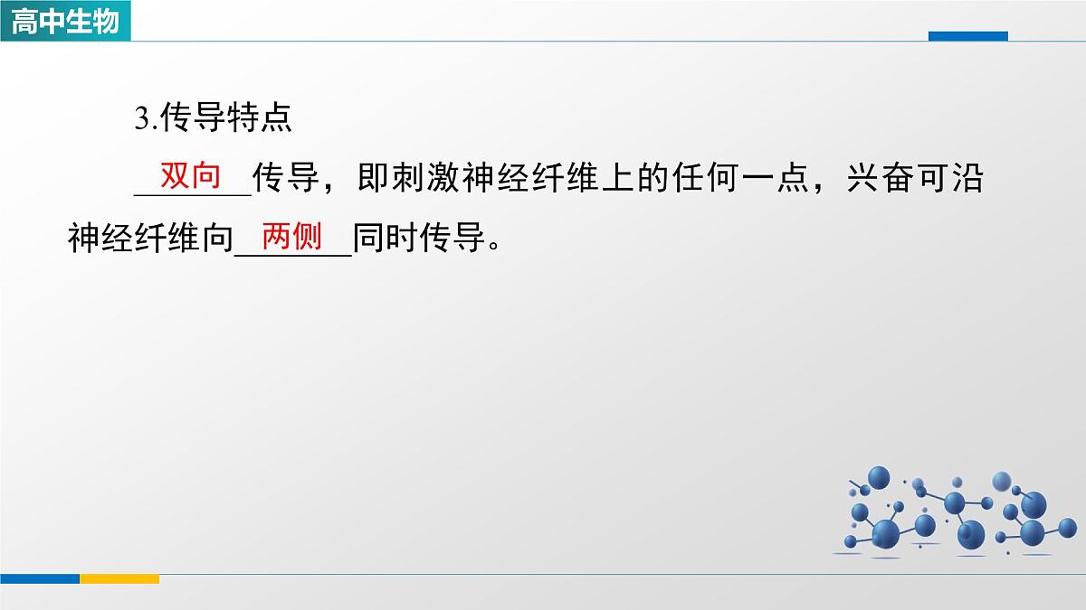 人教版高中生物选修1《2-3神经冲动的产生和传导》课件第7页