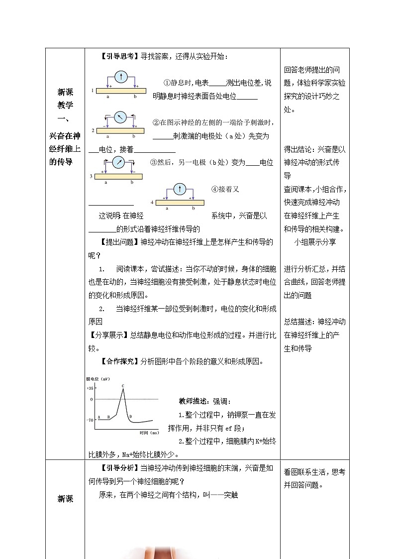 人教版高中生物选修1《2-3 神经冲动的产生和传导》教案第2页