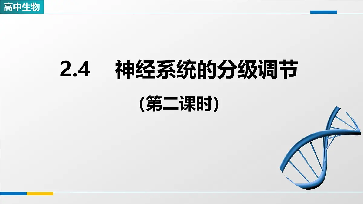 人教版高中生物选修1 2-4《神经系统的分级调节(第二课时)》课件第1页