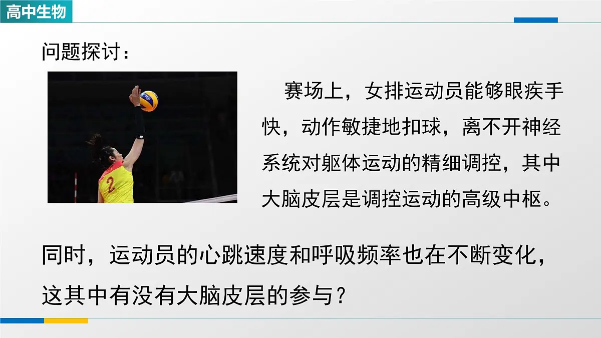 人教版高中生物选修1 2-4《神经系统的分级调节(第二课时)》课件第2页