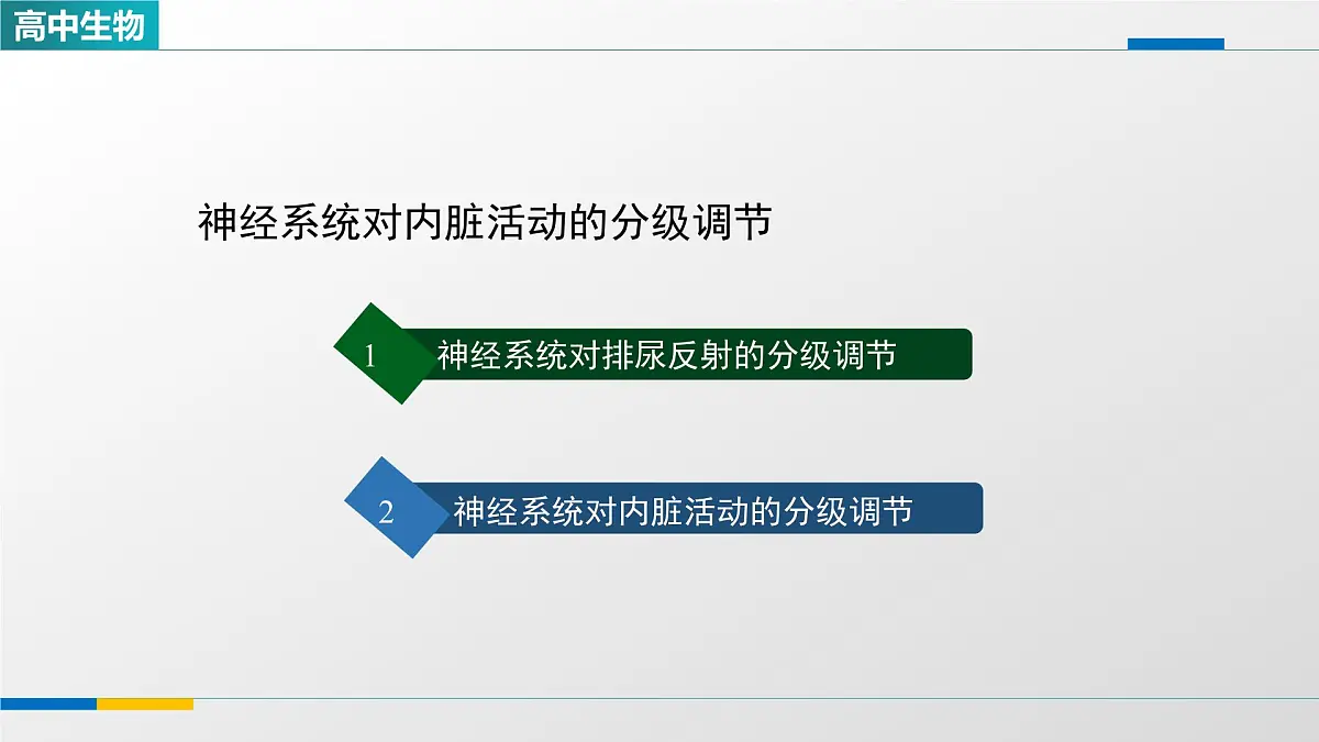 人教版高中生物选修1 2-4《神经系统的分级调节(第二课时)》课件第3页