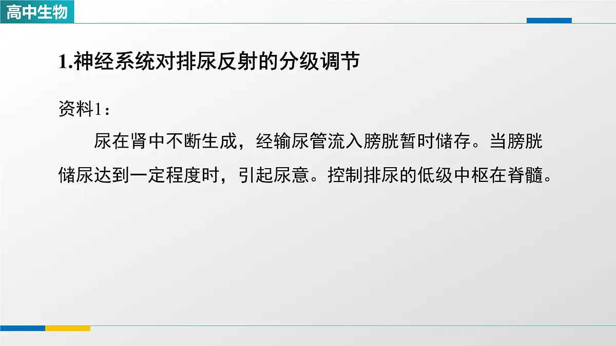 人教版高中生物选修1 2-4《神经系统的分级调节(第二课时)》课件第4页
