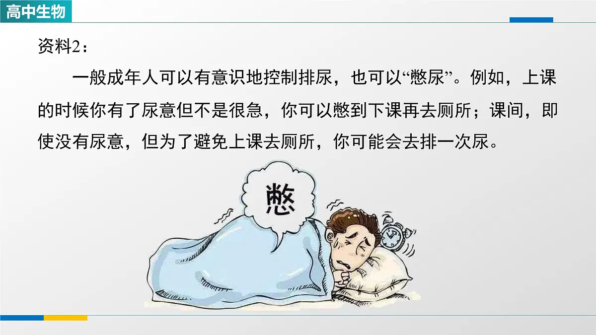 人教版高中生物选修1 2-4《神经系统的分级调节(第二课时)》课件第8页