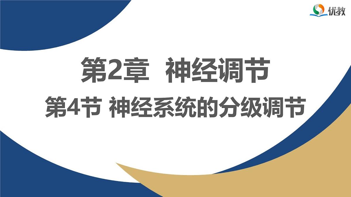人教版高中生物选修1《2-4 神经系统的分级调节》课件第1页