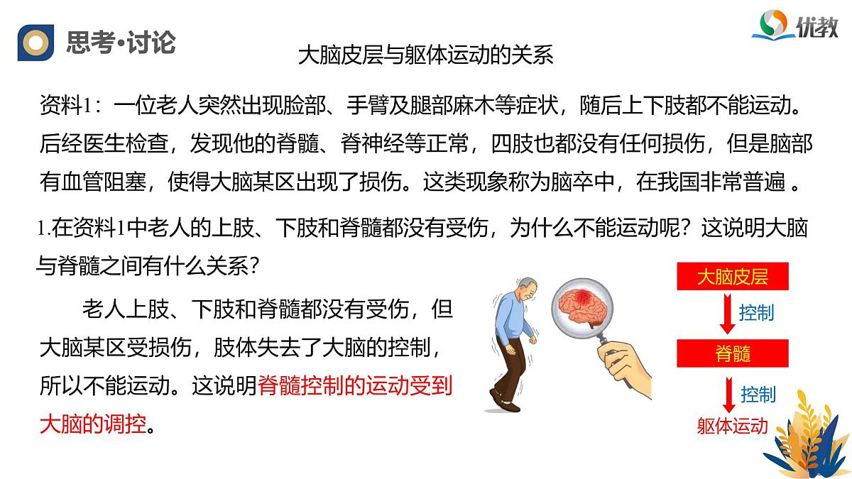 人教版高中生物选修1《2-4 神经系统的分级调节》课件第6页