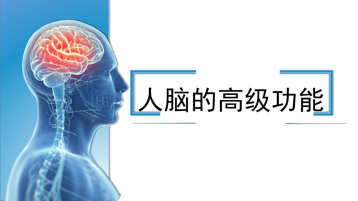 人教版高中生物选修1《2-5 人脑的高级功能》课件第1页