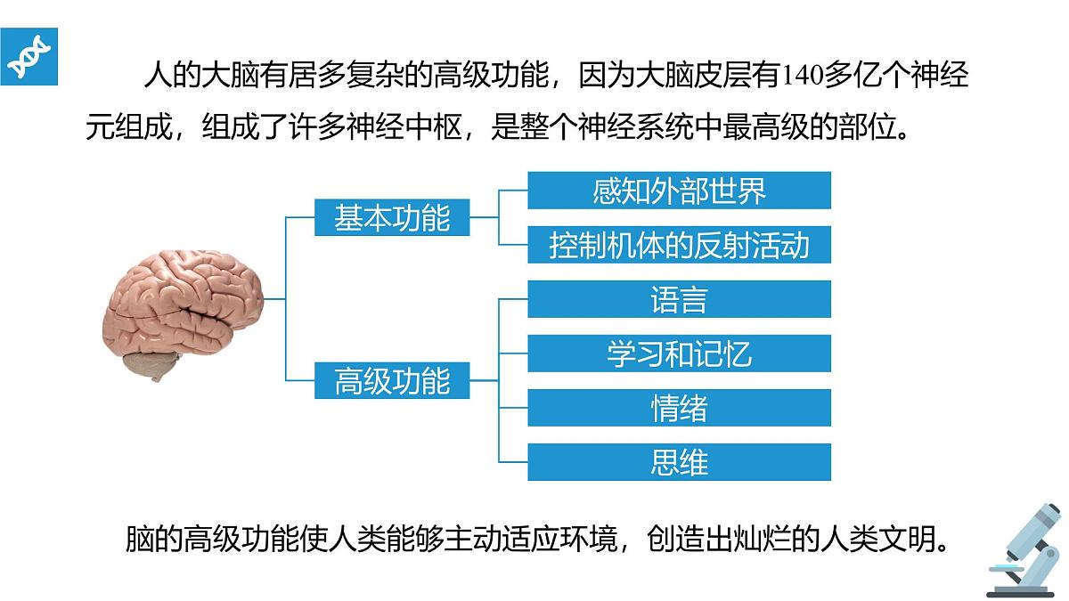 人教版高中生物选修1《2-5 人脑的高级功能》课件第4页