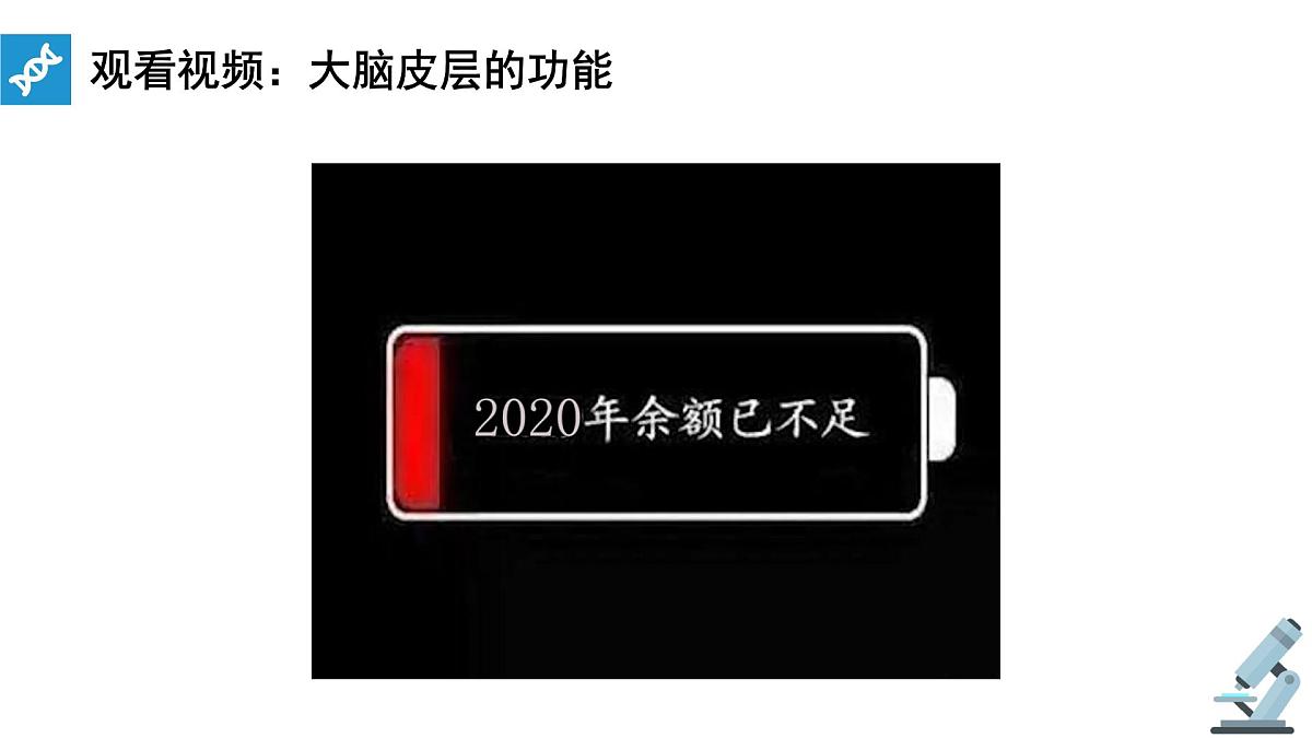 人教版高中生物选修1《2-5 人脑的高级功能》课件第5页