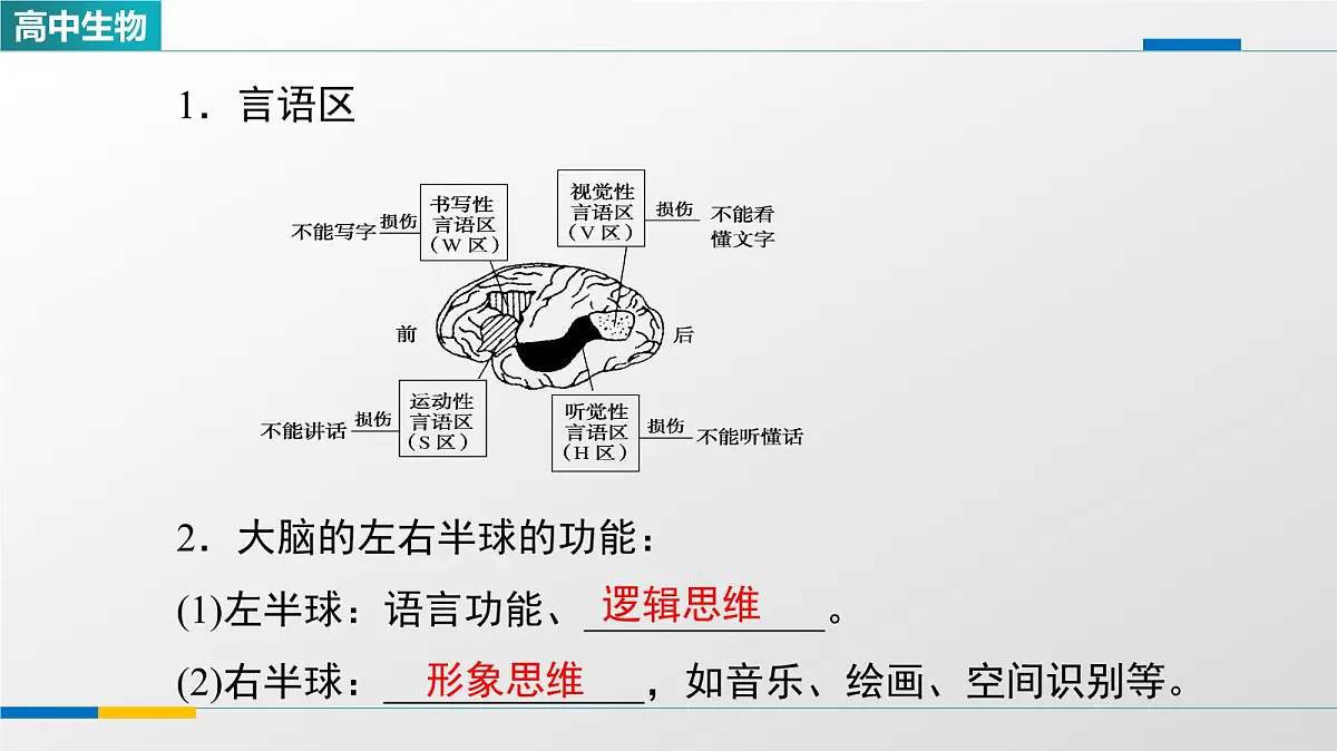 人教版高中生物选修1《2-5人脑的高级功能》教学课件第3页