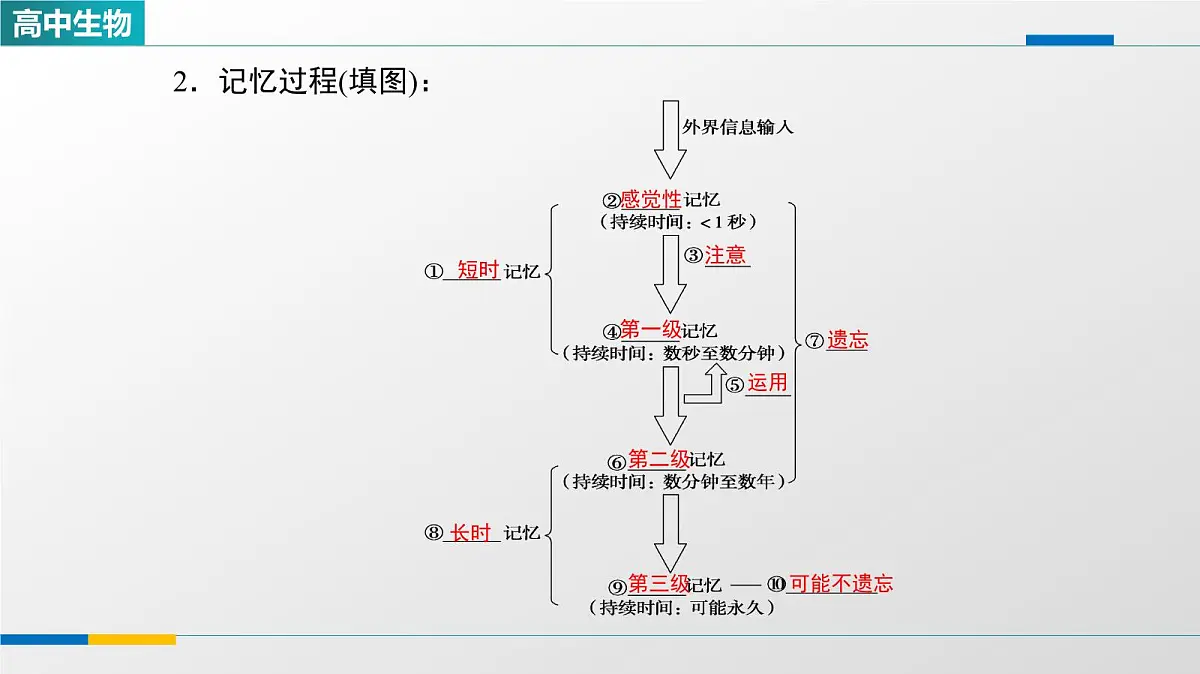 人教版高中生物选修1《2-5人脑的高级功能》教学课件第5页