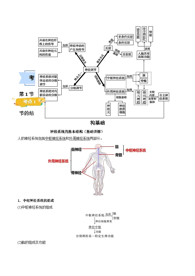 人教版高中生物选修1第2章 神经调节【知识清单】第2页