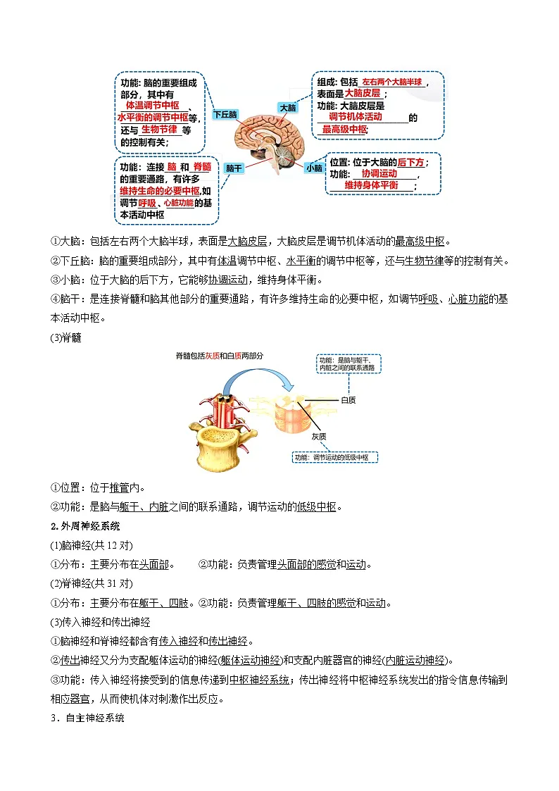 人教版高中生物选修1第2章 神经调节【知识清单】第3页