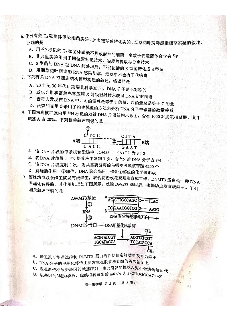 江苏省徐州市2024-2025学年高一下学期期末考试生物试卷第2页