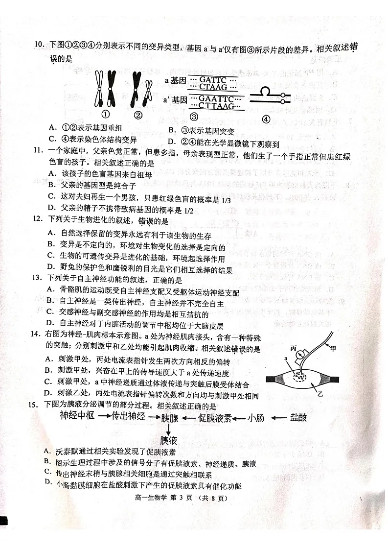 江苏省徐州市2024-2025学年高一下学期期末考试生物试卷第3页