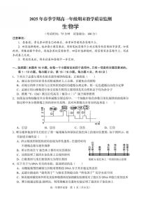 广西南宁市部分学校2024-2025学年高一下学期6月期末考试 生物 PDF版含解析