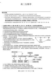 河北九师联盟2026届新高二下学期7月期末考试（HB）-生物试卷+答案