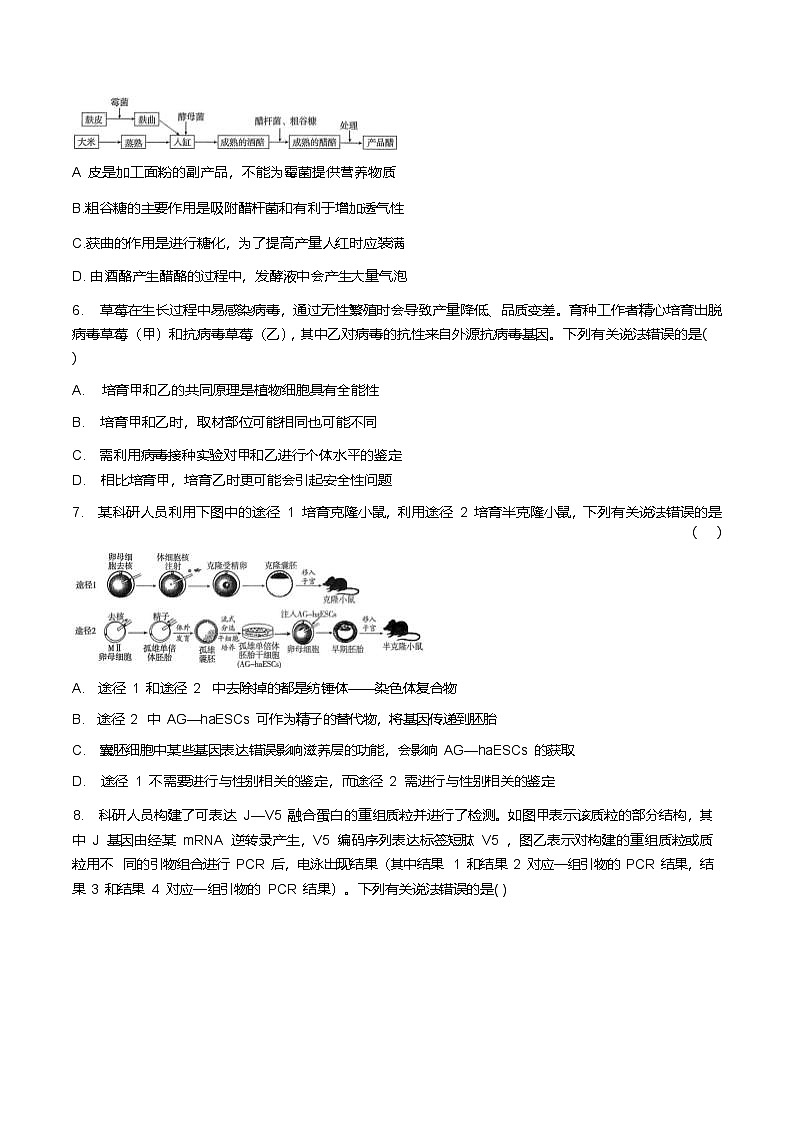 河北省邢台市第一中学2024-2025学年高二下学期6月第四次月考生物试题(Word版附答案)第2页