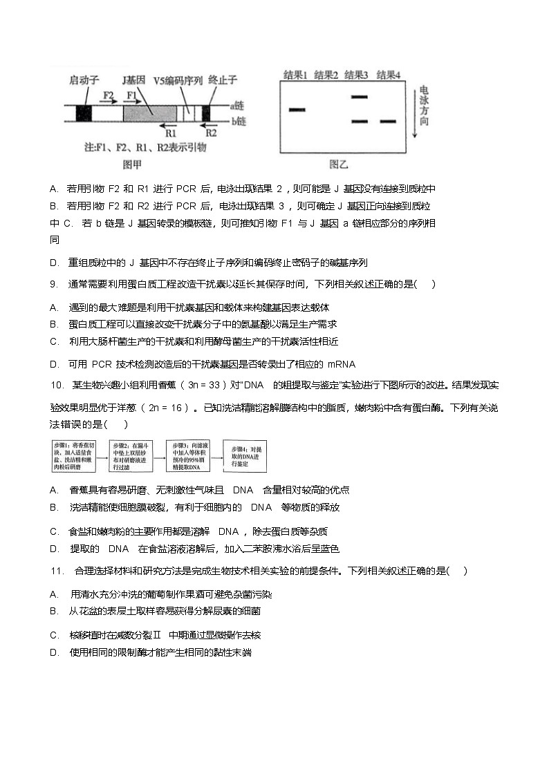 河北省邢台市第一中学2024-2025学年高二下学期6月第四次月考生物试题(Word版附答案)第3页