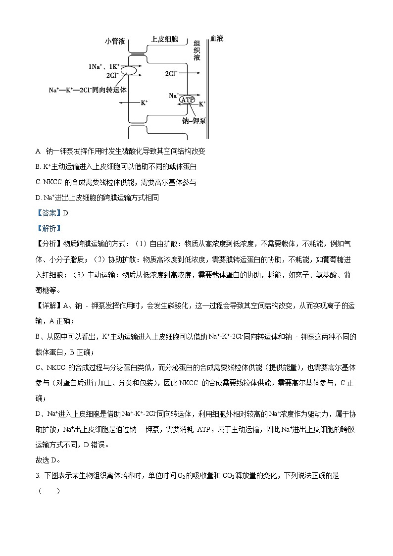 2025屆山東省棗莊市高三第一次模擬考試生物試題  Word版含解析第2頁