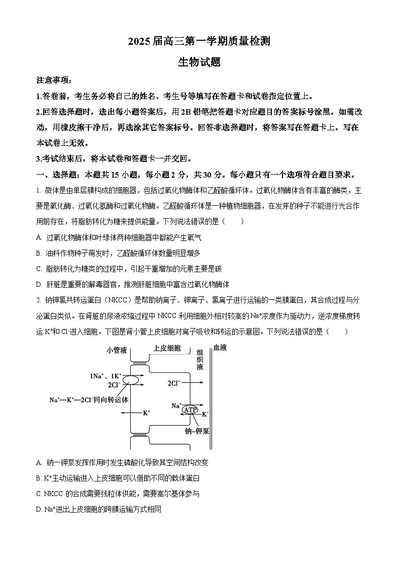 2025屆山東省棗莊市高三第一次模擬考試生物試題  Word版無答案第1頁