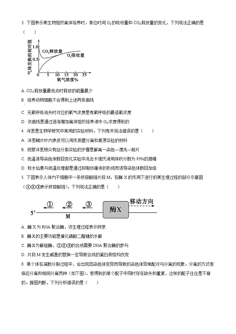2025屆山東省棗莊市高三第一次模擬考試生物試題 Word版無答案第2頁