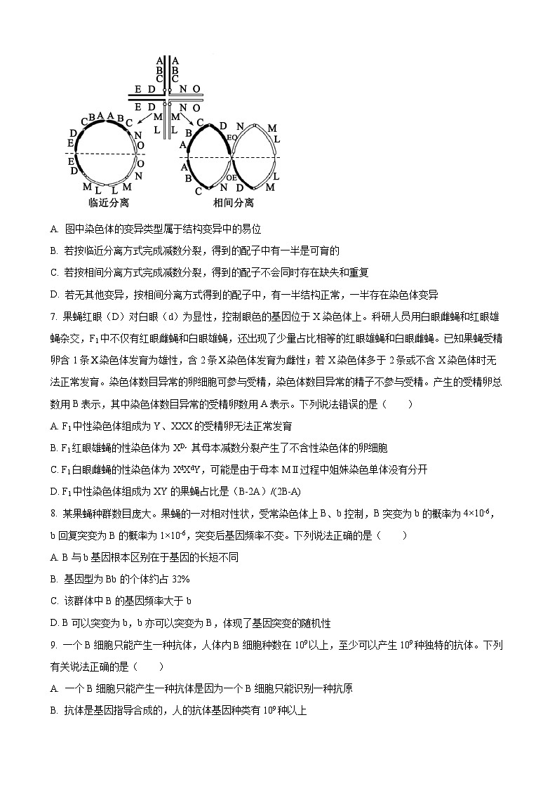2025屆山東省棗莊市高三第一次模擬考試生物試題  Word版無答案第3頁