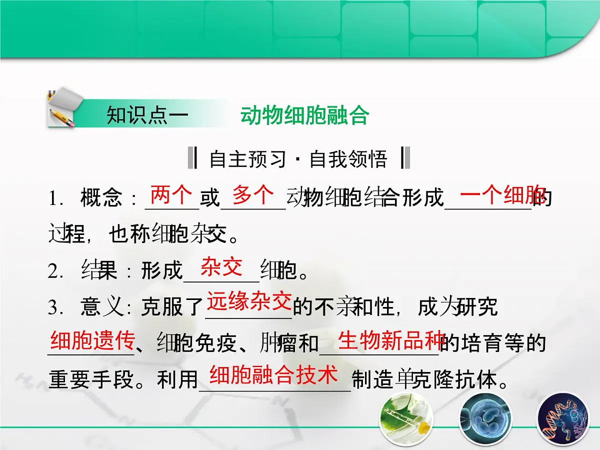 人教版 (新课标)高中生物选修3 2.2.2《动物细胞融合与单克隆抗体》复习课件第3页