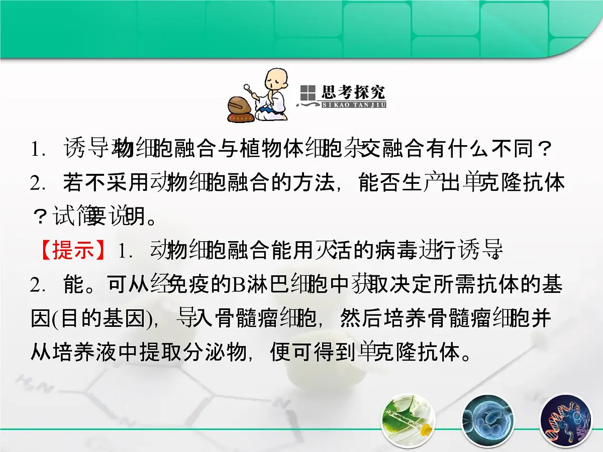 人教版 (新课标)高中生物选修3 2.2.2《动物细胞融合与单克隆抗体》复习课件第4页