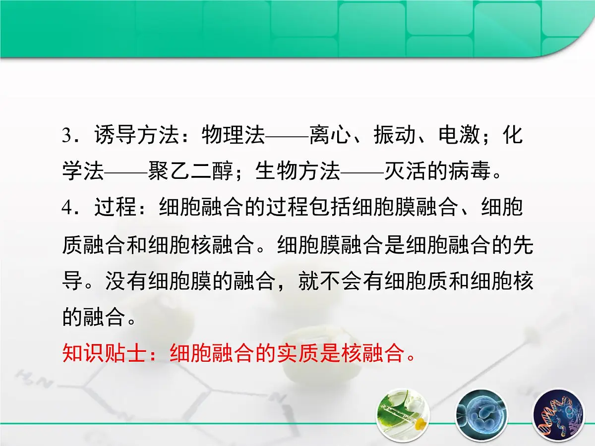 人教版 (新课标)高中生物选修3 2.2.2《动物细胞融合与单克隆抗体》复习课件第6页