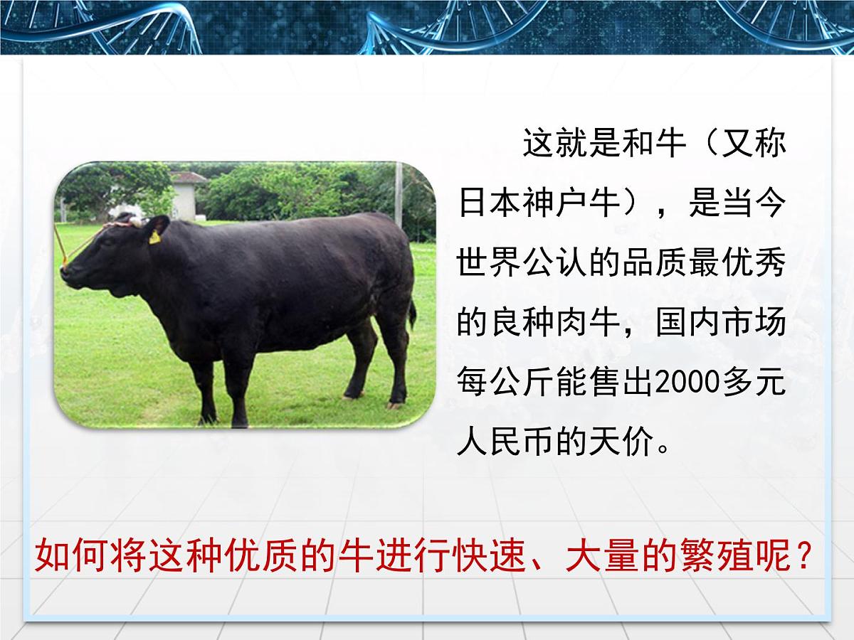 人教版 (新课标)高中生物选修3 3-3.3《胚胎工程的应用及前景》课件第3页