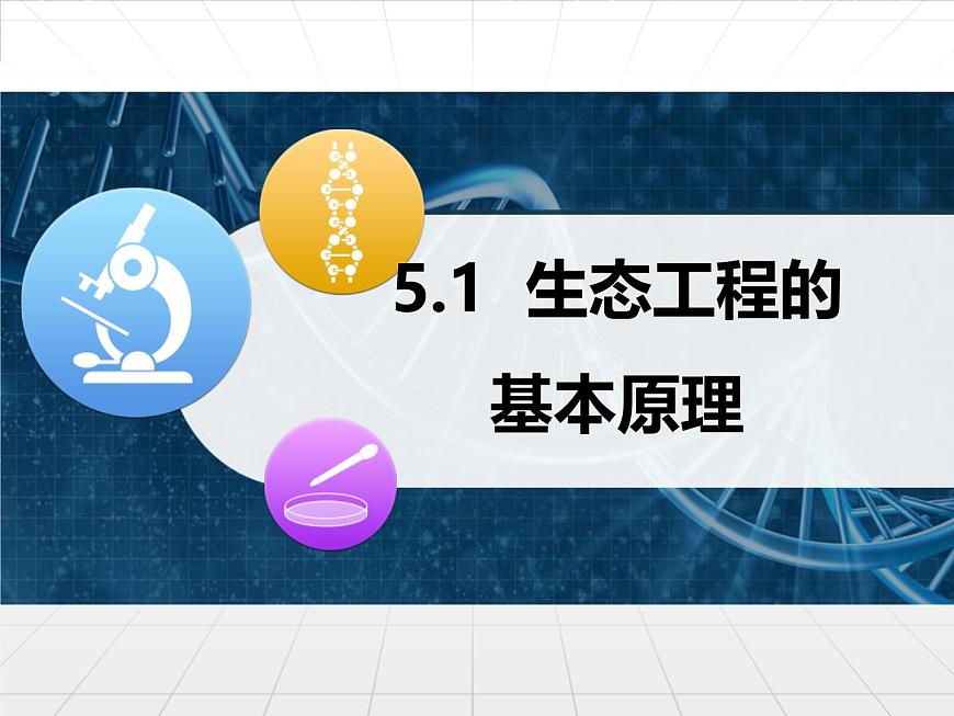 人教版 (新課標(biāo))高中生物選修3 5.1《生態(tài)工程的基本原理》課件第1頁